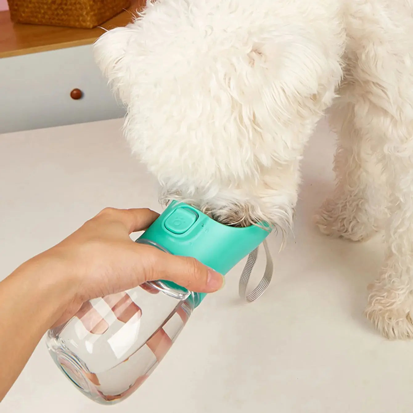 Portable Dog Water Bottle – Hydration On-the-Go for Small & Large Dogs